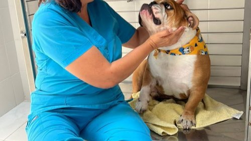 Bazar Benéfico "Ayuda a los Peludos"